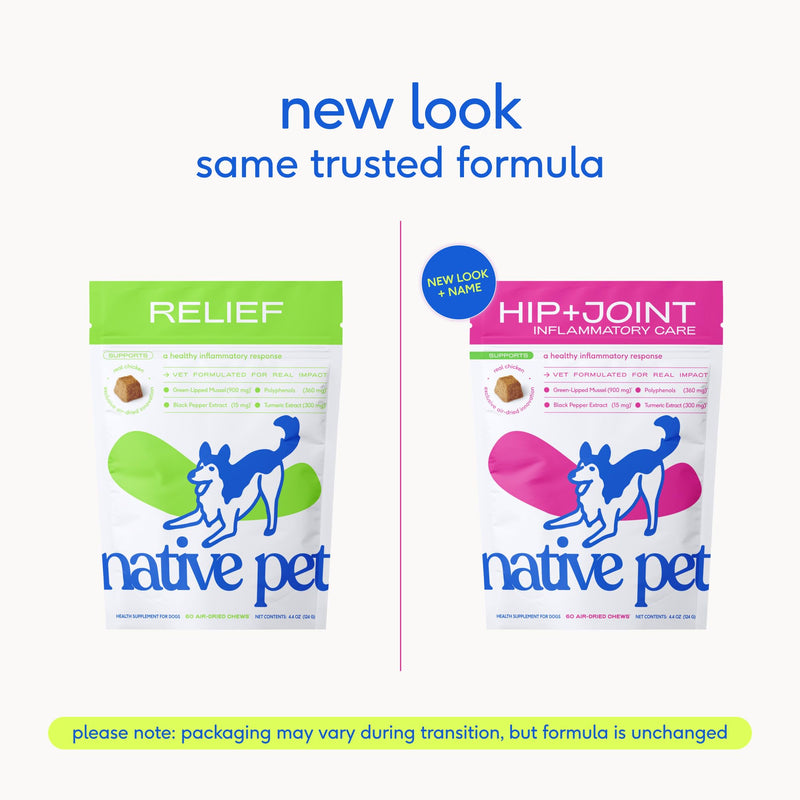 Native Pet Inflammatory Care - Pain Relief for Dogs - Green-Lipped Mussel, Turmeric & Collagen for Dogs - Hip and Joint Supplement Supports Healthy Inflammatory Response & Joint Comfort - 60 Chews 60 Count - PawsPlanet Australia