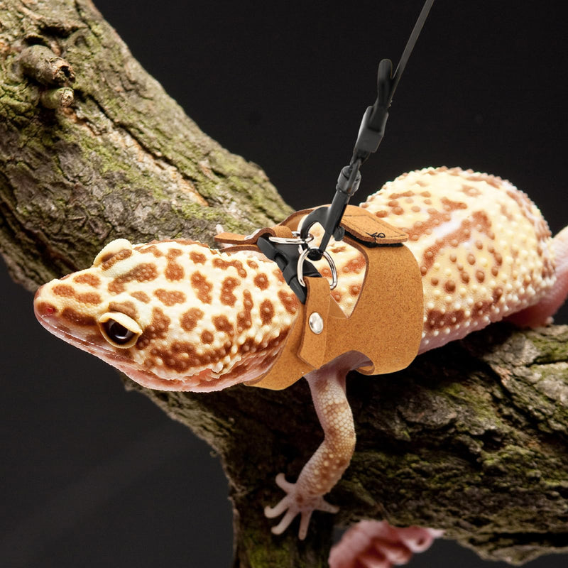 3 Pcs Bearded Dragon Harness and Leash Set Adjustable Leash Soft Leather Bearded Dragon Harness Lizard Accessory for Squirrels and Other Small Reptiles(Brown, 3 Sizes) - PawsPlanet Australia