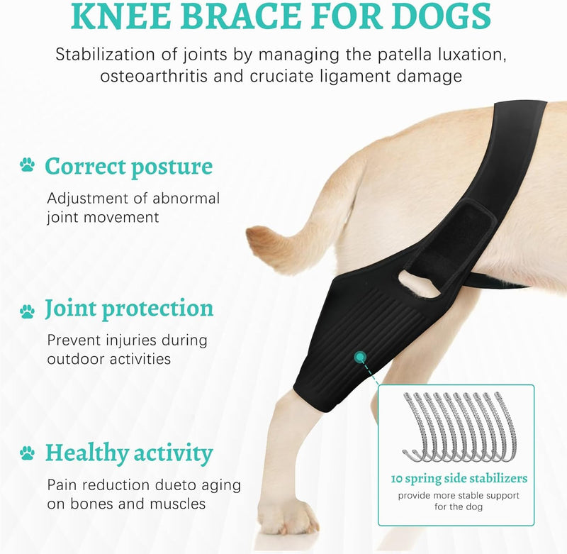 2024 Upgraded Dog Hip Brace Large Breed Dog Knee Brace- Dog Acl Brace Hind Leg & Joint Relief - Dog Leg Braces - Back Leg for Support (M) Medium - PawsPlanet Australia
