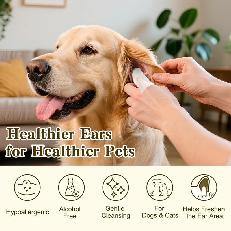Texsens Pet Backpack(Expandable-Black) & Ear Care Wipes Combo‌ - PawsPlanet Australia