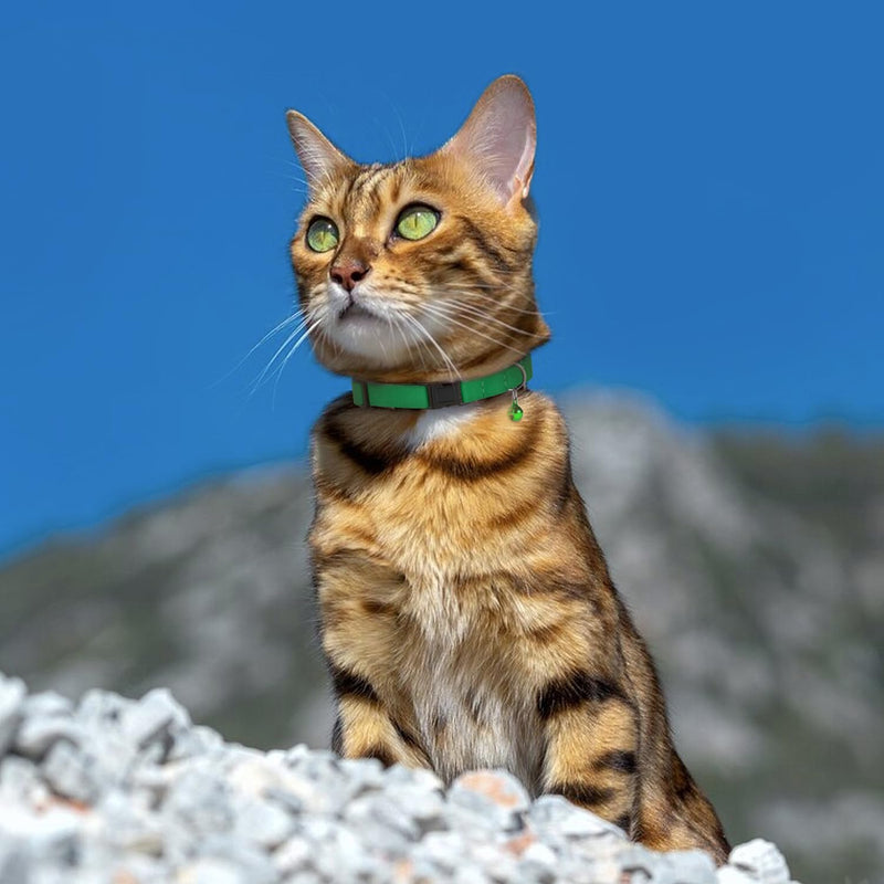 Breakaway Cat Collar Leather with Removable Bell - 13 Colors Available - Soft Adjustable Girl Boy Safety Lightweight Pet Kitten Collars Pink Brown Blue Green Red Orange Black (Mustard) Mustard - PawsPlanet Australia