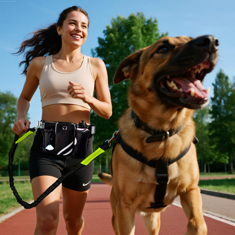 W-UNERVERE Hands Free Dog Leash with Reflective Stitches for Large, Medium & Small Breeds | Running Leash for Dogs with Shock Absorbing Bungee & Adjustable Waist Belt | Up to 150 lbs Weight Capacity - PawsPlanet Australia