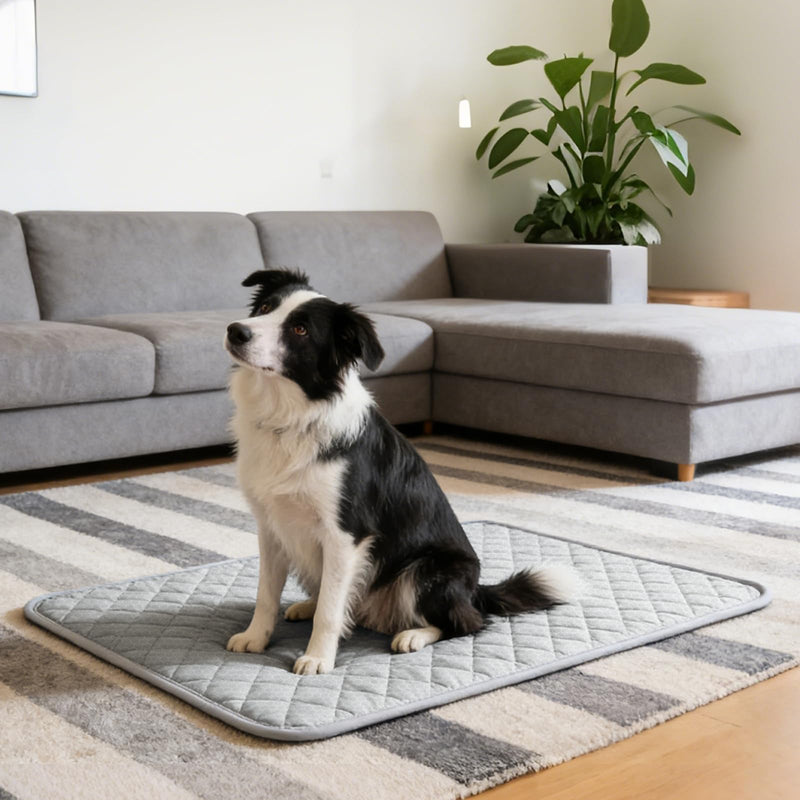 Cooling Mat for Dogs: Premium Waterproof Dog Cooling Blanket, 5-Layer Materials Dog Cooling Mat, Washable Pet Cooling Mat for Summer, Silver Grey Mats Medium Dogs Medium(40"x28") 005-Silver Grey - PawsPlanet Australia