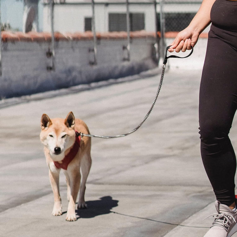 Chain Heavy Duty Metal Dog Leash, 6FTx3mm Chew Proof Pet Leash Chain with Soft Padded Handle for Large & Medium Size Dogs Walking, Training and Traveling (30-120 lbs) 6FTx3mm (30-120 lbs) - PawsPlanet Australia