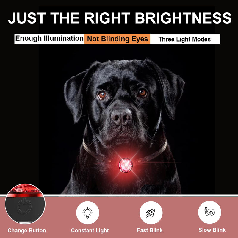 2-Pack Dog Collar Lights for Nighttime Clip on, Yesbular 3 Modes Dog Leash Light, 100% Waterproof Dog Light Clip. Durable Silicone Band Dog Lights for Night Walking(Red). Red - PawsPlanet Australia