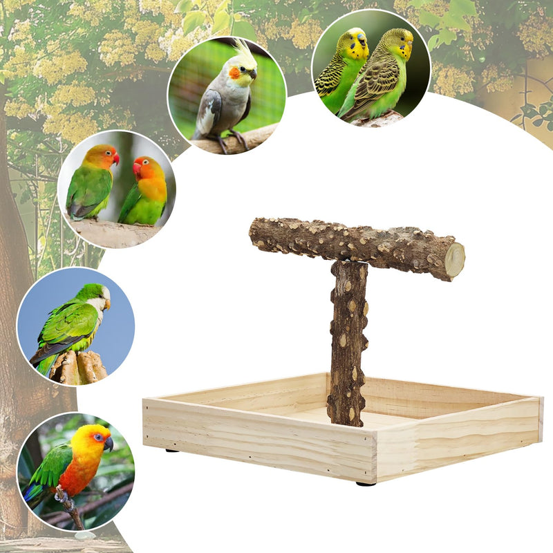 BNOSDM Portable Bird Perch Stand with Potty Tray, Natural Wood Tabletop Training Gym Parrot Playground Toy for Budgies, Cockatiels, Lovebirds,Conures 1. T-Shaped Bird Stand