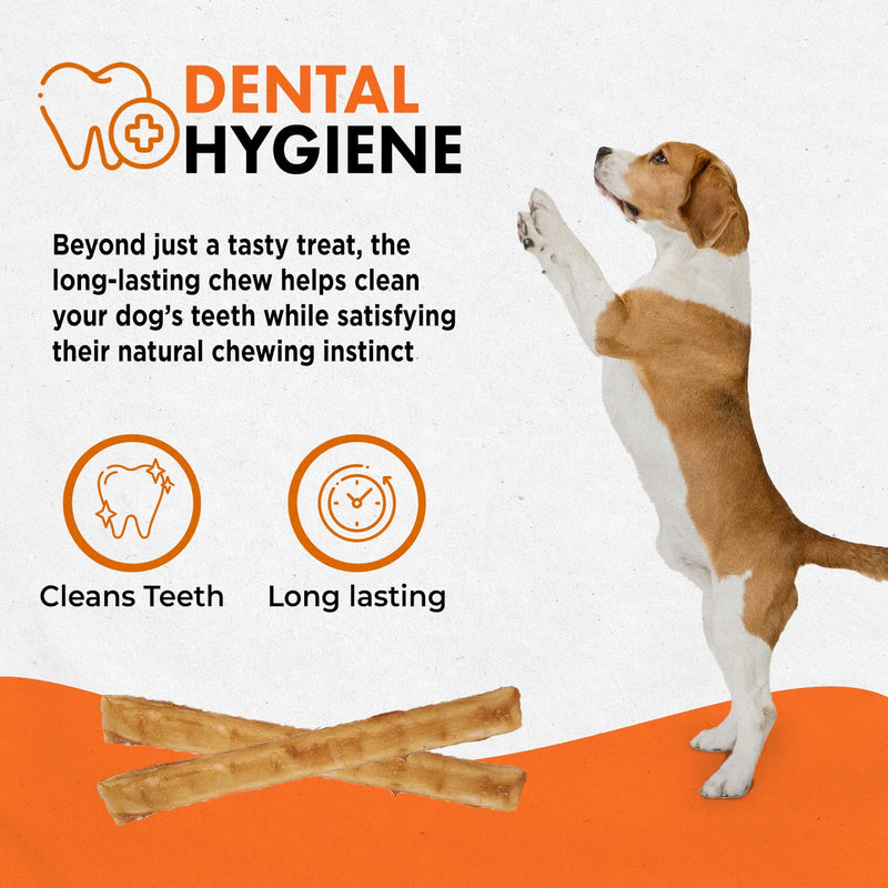 Canine Naturals Chicken Recipe Chew - Rawhide Free Dog Treats - Made From USA Raised Chicken - All-Natural and Easily Digestible - 40 Pack of 5 Inch Stick Chews 1 Count (Pack of 40) - PawsPlanet Australia