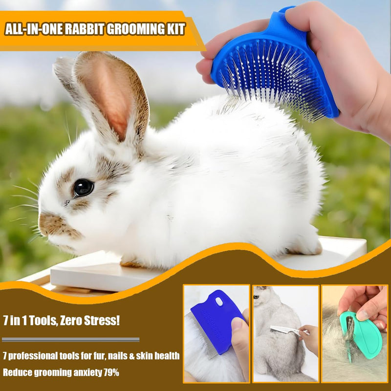 Rabbit Grooming Kit – Bunny Grooming Kit with Shedding Brush, Nail Clippers & Comb – Small Animal Grooming Supplies for Rabbits, Guinea Pigs, Hamsters, Ferrets - Small Pet Shedding & Care (Blue) Blue - PawsPlanet Australia