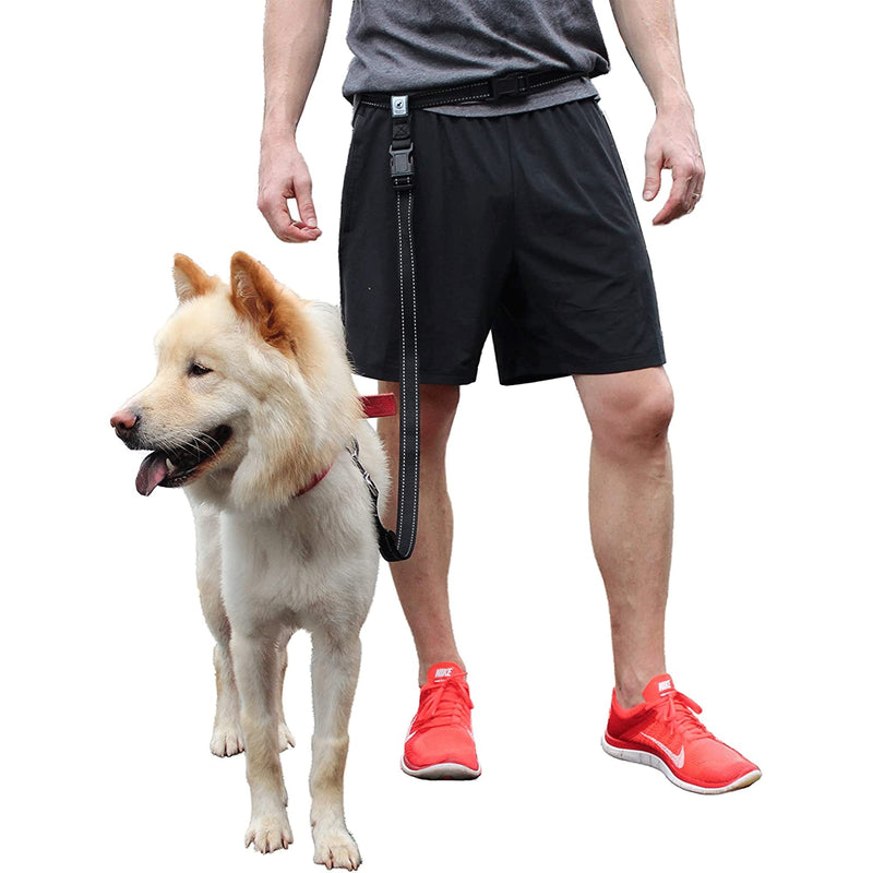 Running Leash for Dogs - Hands Free Dog Leash for Training, Hiking & Walking - Non Bungee for More Control - Around The Waist Dog Leash Belt for Small Medium or Large Dogs - PawsPlanet Australia