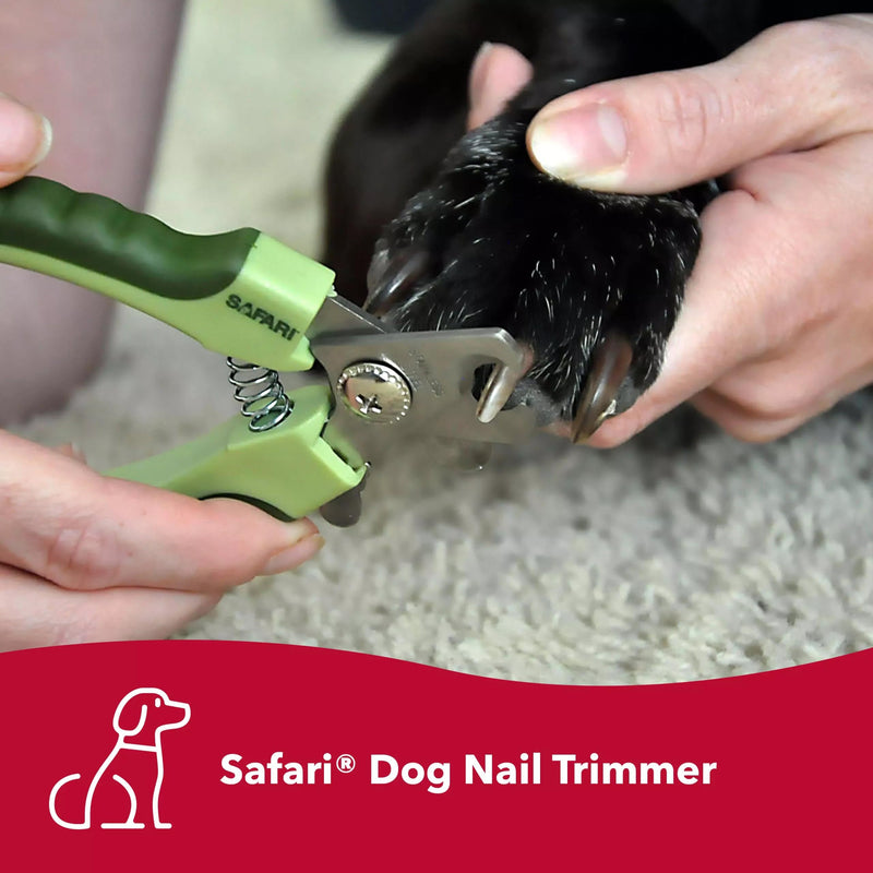 Coastal Pet Safari Dog De-Matting Comb & Professional Dog Nail Trimmer - Comb & Brush for Dogs with Medium to Long Hair & Dog Nail Clippers for Grooming - Bundle - PawsPlanet Australia