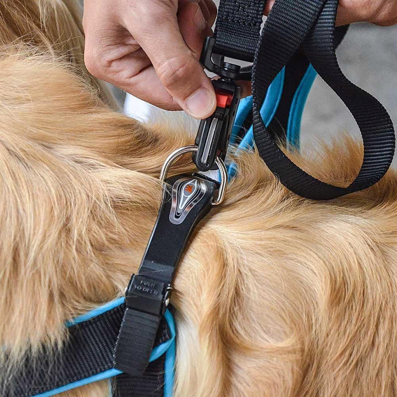 Ferplast ERGOFLUO G Dog Lead - MATIC Automatic Closure Technology - Soft Padding - Reflective & Anti-Abrasion - Extra-Resistant Seams - Italian Design - 120 x 2.5 cm, Orange 120 x 2,5 cm