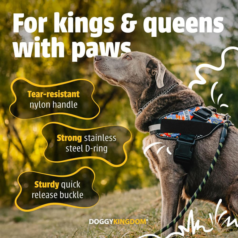 Dog Harness with Patch Panels, No Choke, Reflective, Adjustable, Soft Padded Dog Vest Harness with Easy Control Handle for Large Dogs, Purple, L L (Chest: 26 - 31 in) - PawsPlanet Australia