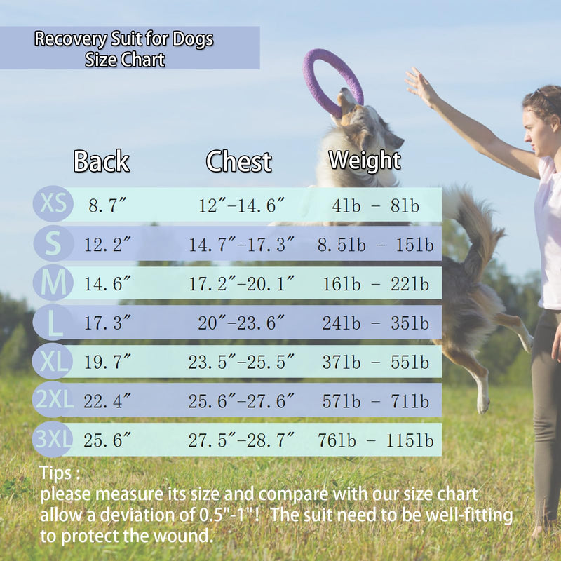 Dog Surgical Recovery Suit, After Spay Abdominal Wounds Post Surgical Suit for Dogs Female Male Dog Onesies, Anti Licking Breathable Dog Shirt for Small Large Dogs, Dog Surgery Collar Alternatives XXL（Back length 22.4", Chest 25.6"-27.6"） Pinkblue - PawsPlanet Australia