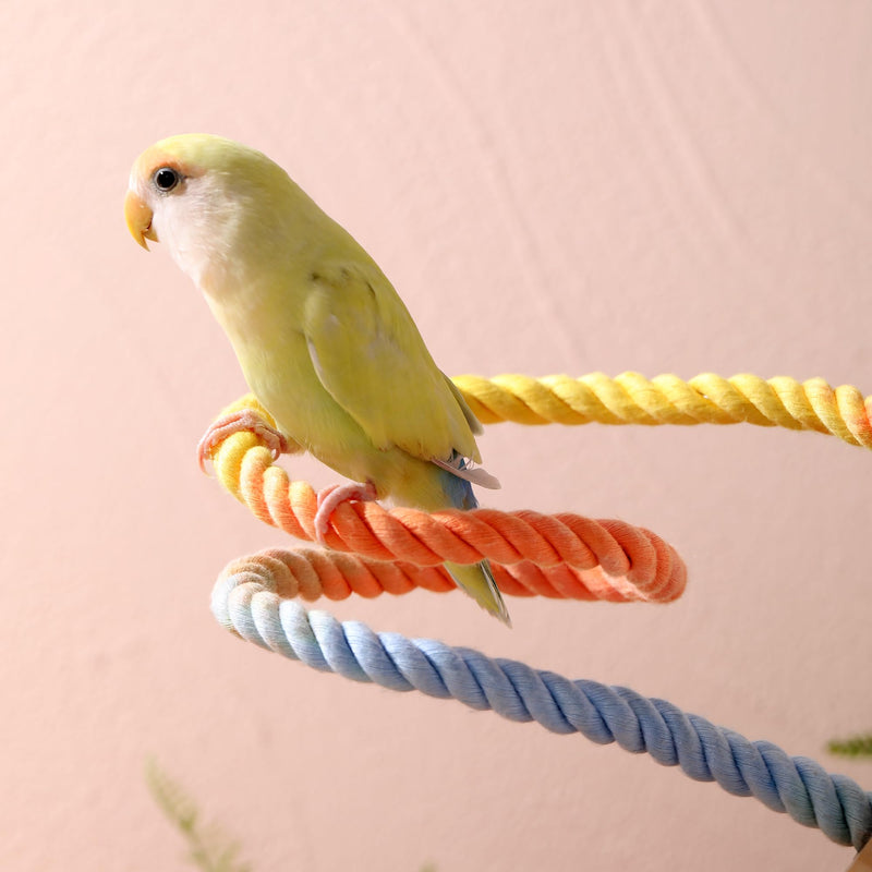 Multi-Color Rope Bird Perch Toys for Parrot Cage Stand, Climbing Swing Accessories for Cockatiel, Parakeets, Budgies, Lovebirds, Conures, Finches - 39.4 inch - PawsPlanet Australia