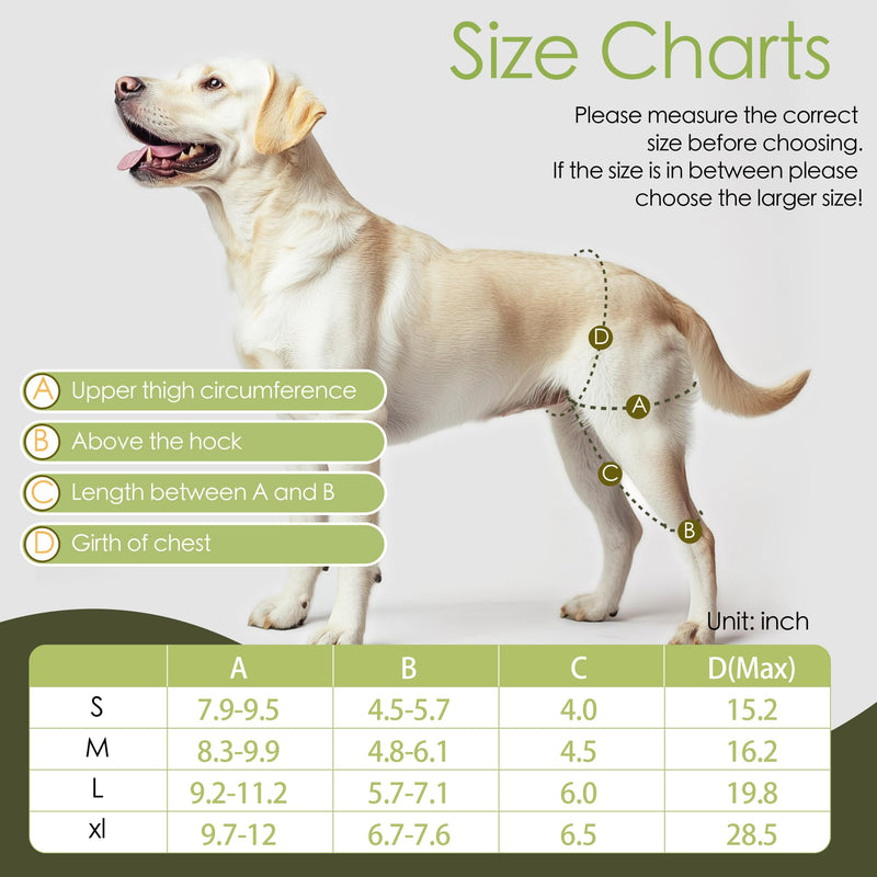 Dog Leg Braces for Back Leg- Dog ACL Brace for Torn and Back Hind Rear Legs ACL Tear, Dog Leg Brace for Hip Dysplasia, Dog Arthritis, Luxating Patella(Size XL) - PawsPlanet Australia