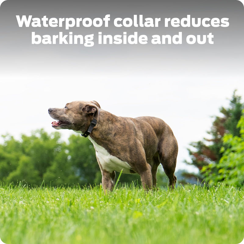 Dog Bark Collar- Waterproof - Rechargeable Digital Bark Collar Anti Barking Collar with 5 Adjustable Sensitivity Levels Dogs - PawsPlanet Australia