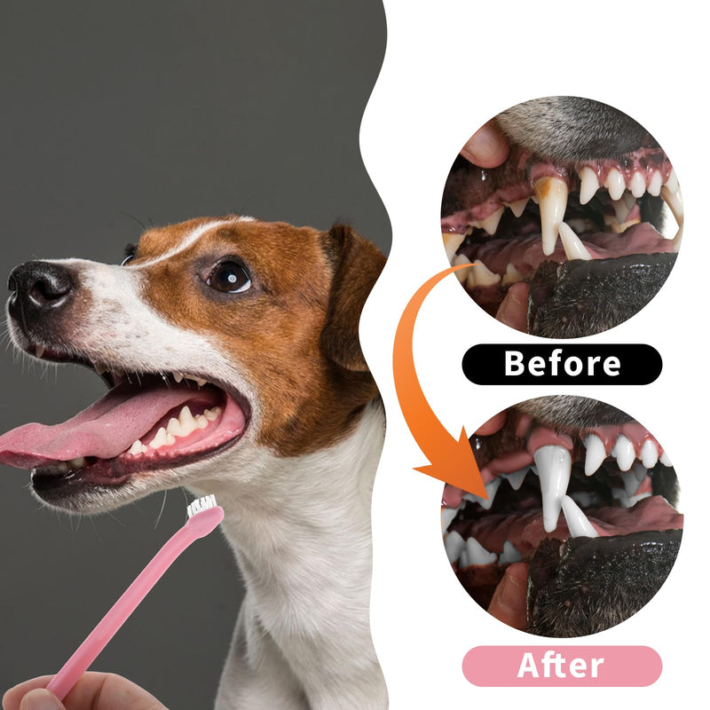 8 Pack Small Dog Toothbrush Cat Toothbrush Pet Toothbrush Mini Head Soft Dog Cat Tooth Brush for Sensitive Gum Puppy, Kitten, Cats & Small Breed Dogs, Portable Travel Friendly and Easy to Use - PawsPlanet Australia