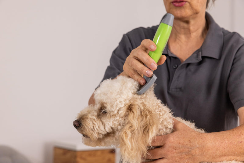 Wahl Slicker Brush Medium Medium Dog - PawsPlanet Australia