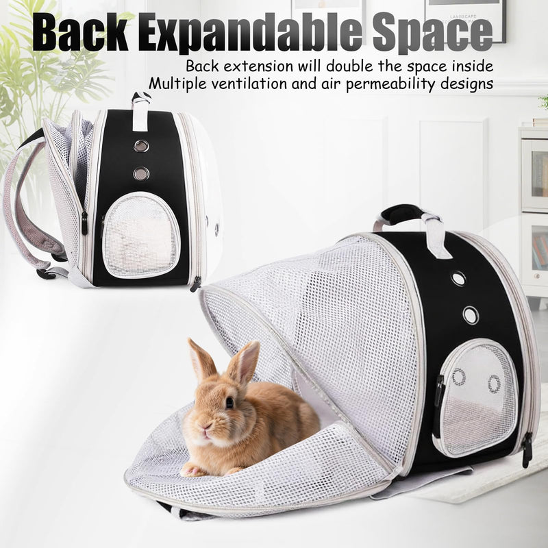 Back Expandable Backpack for Small Animals, Portable Travel Bag Breathable Pet Carrier Cages for Bunny, Guinea Pig, Bearded Dragon, Lizard, Rabbit, Squirrel, Tortoise, Kitten, Sugar Glider Black Back Extension