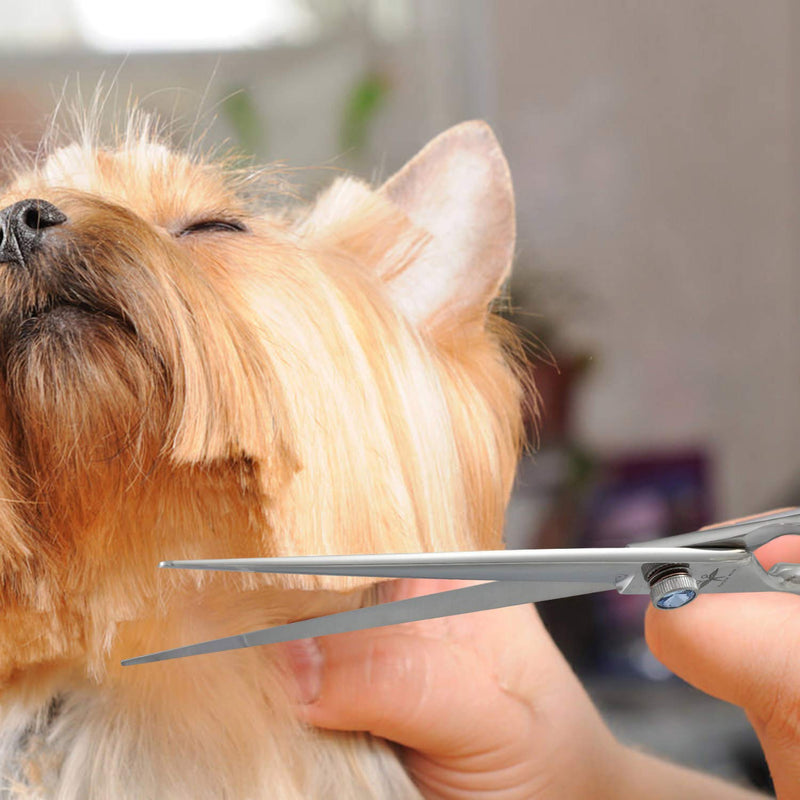PURPLEBIRD 8 Inch Left Handed Straight Dog Grooming Scissors Professional Pet Cutting Shears Safety Noiseless Blunt Tip Trimming Shearing for Dogs Cats Japanese Stainless Steel Silver 8 Inch Left Handed Cutting - PawsPlanet Australia