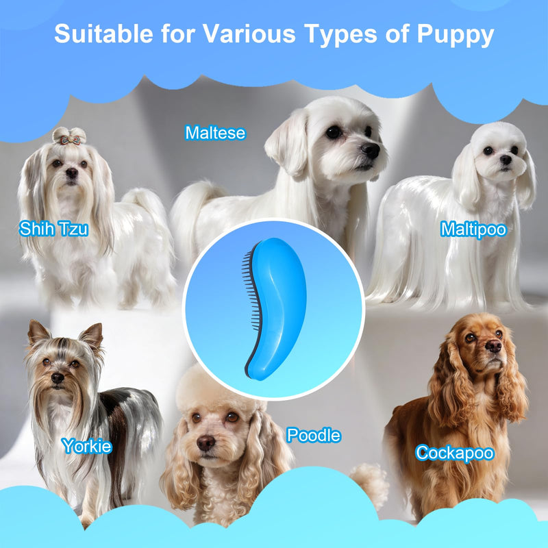Small Dog Brush- Grooming Tool for Teddy, Yorkies, Maltese, Shih Tzu, Chihuahua - Puppy Hair Brush (Blue) Blue - PawsPlanet Australia
