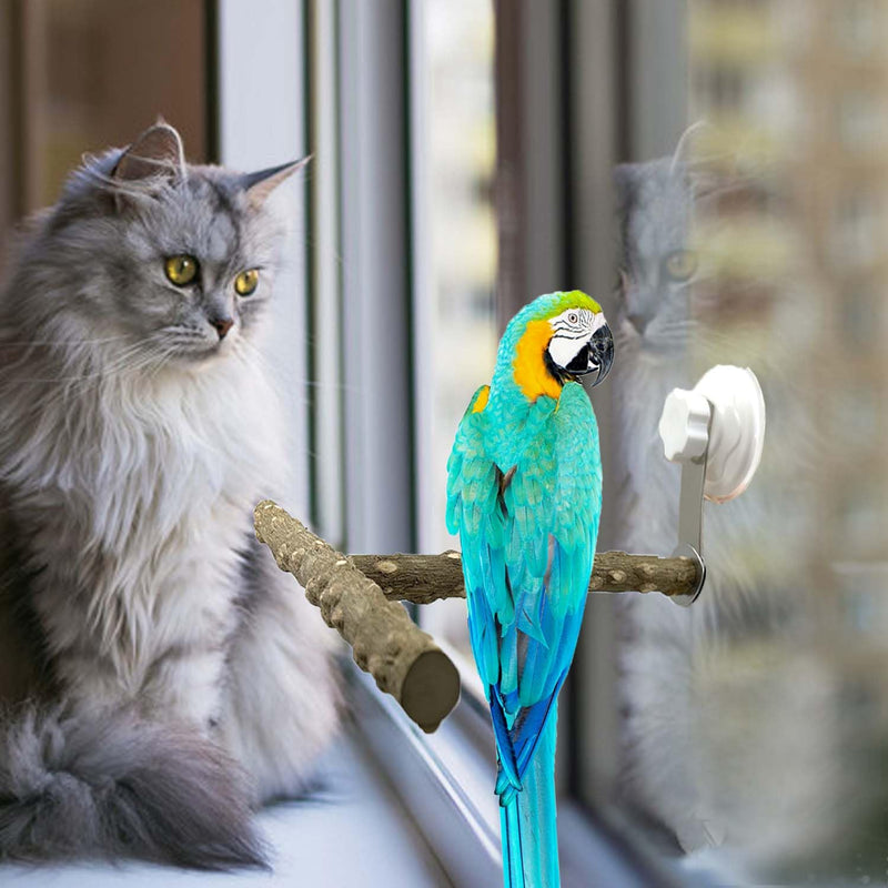 Natural Bird Perch Stand with Suction Cup for Window Mirror Car Shower Travel Bath Wood Training Perch for Small Medium Large Parrot Parakeet Cockatiel Concure Budgie Macaw Finch Lovebirds T Shape - PawsPlanet Australia