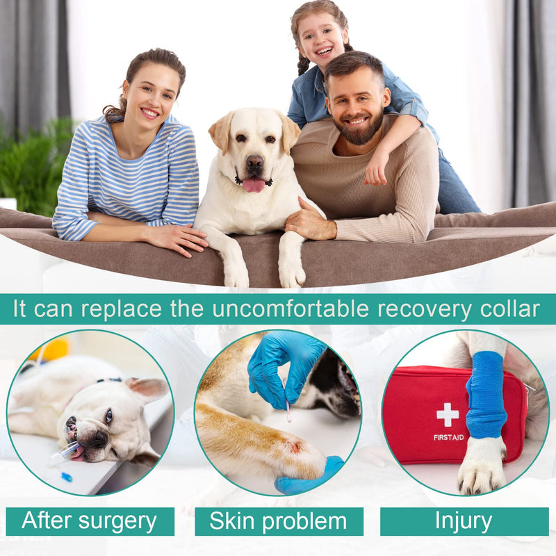 Etdane Dog Onesie for After Surgery Pet Surgical Recovery Suit Anti Shedding Bodysuit