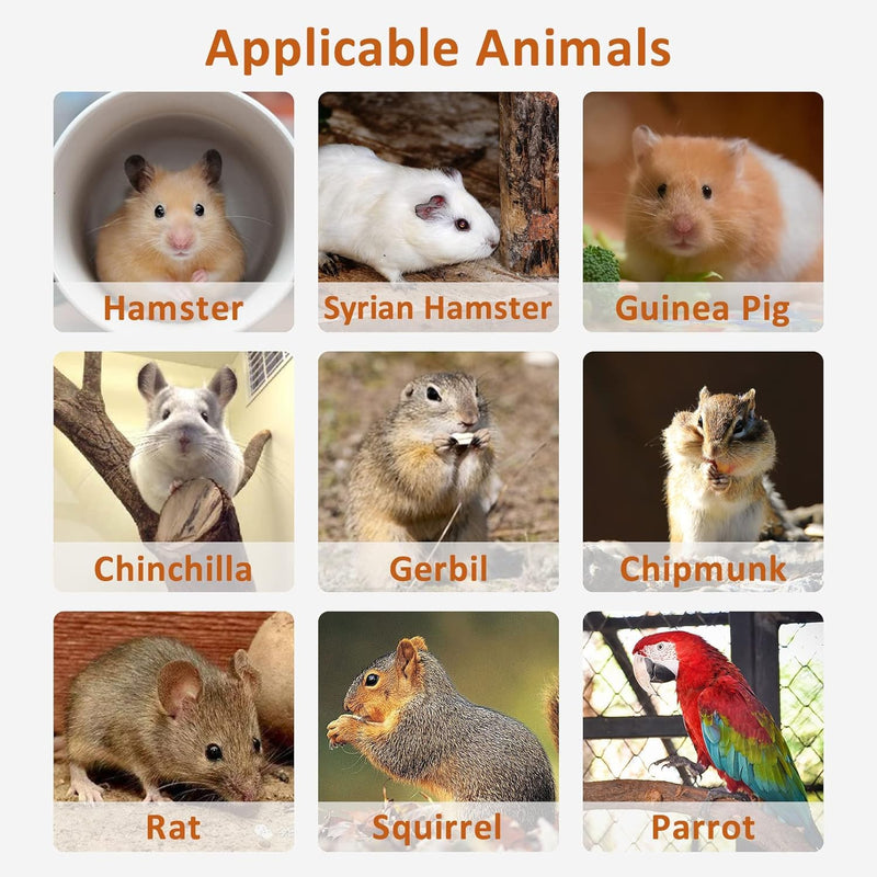 BNOSDM Wooden Hamster Platform with Legs Small Animal Standing Platform Exercise Toy Cage Accessories for Syrian Dwarf Hamsters Guinea Pigs Gerbils Degus Chinchillas Mice Bird Ladder on the side - PawsPlanet Australia