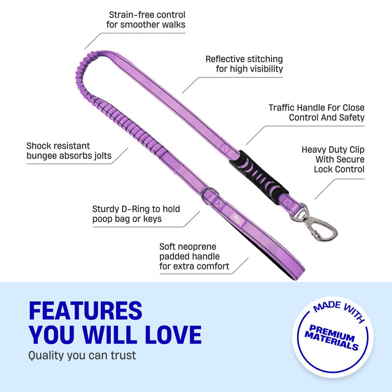 DF Co. Bungee Dog Leash | Strain Free & Shock Resistant for Control | Neoprene Padded Handle, Heavy-Duty Carabiner Clip, and D-Ring | Purple, Size Regular