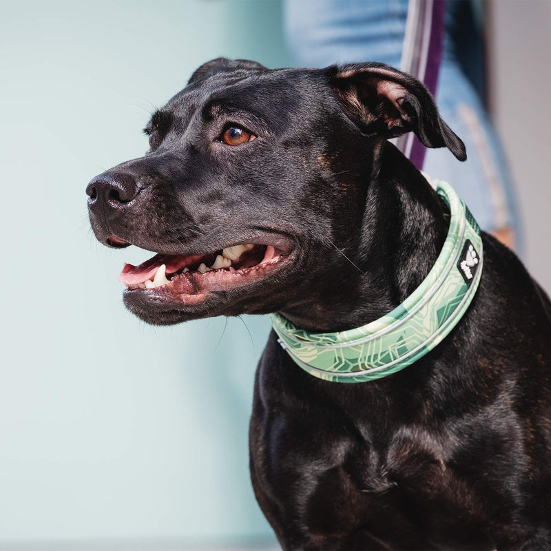 Hurtta Weekend Warrior Dog Collar , Park Camo, 22-26 in - PawsPlanet Australia