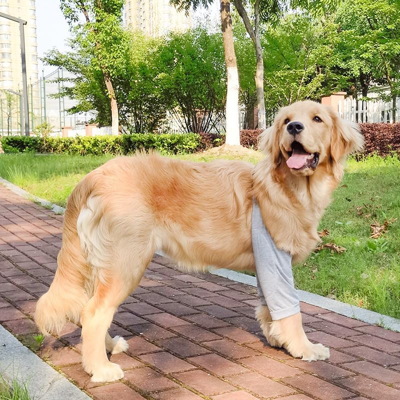 Komate Recovery Sleeve Dog Leg Joint Sleeve Dog Front Leg Ankle Protection Arthritis Sprains Wound Healing Canine Wrap Hock Brace Elbow Protection Soft Padding Gray (L) L - PawsPlanet Australia