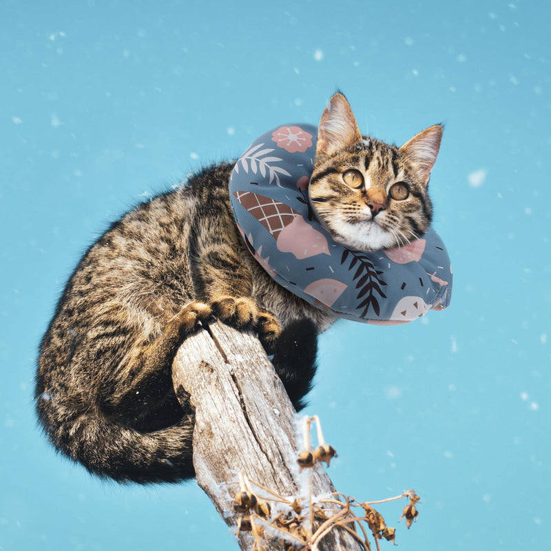 Artibetter Soft Cotton Cat Recovery Collar in Blue with Ice Cream Design Prevents Licking and Misbehavior for Post-Surgery Recovery