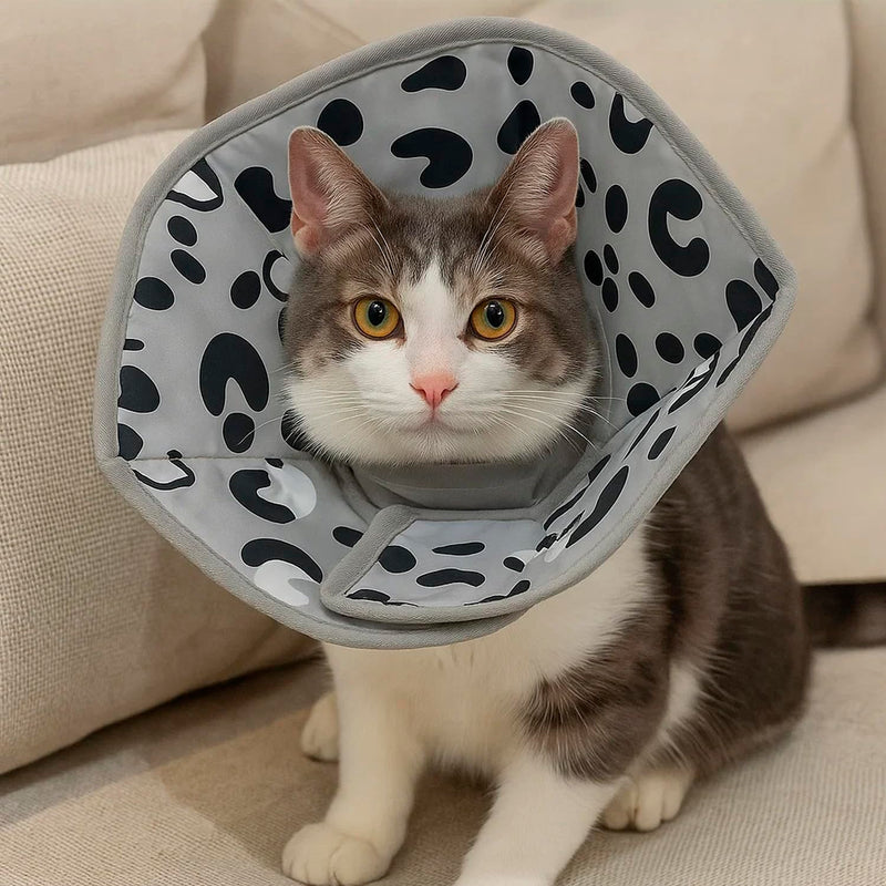 ALLY-MAGIC Cat Collar, Soft, Collars for Cats, Adjustable Collar, Cat Collar, Cat Collar for After Surgery and Injuries, Prevents Licking Wounds E21-CWFHZ
