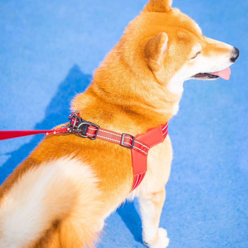 EXCELLENT ELITE SPANKER No Pull Dog Harness Step-in Adjustable Reflective Vest Soft Padded Easy Pet Chest Strap with Leash Clips for Small Medium Large Dogs Walking Training(Red-M) M-Chest 19-22" Red - PawsPlanet Australia