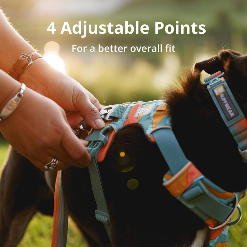 Ruffwear, Front Range Dog Harness, Reflective Soft Padded Everyday Harness with Dual Leash Clips, Adjustable and Lightweight Fit for Training or Walking for All Dogs, River Rock Green, Medium - PawsPlanet Australia