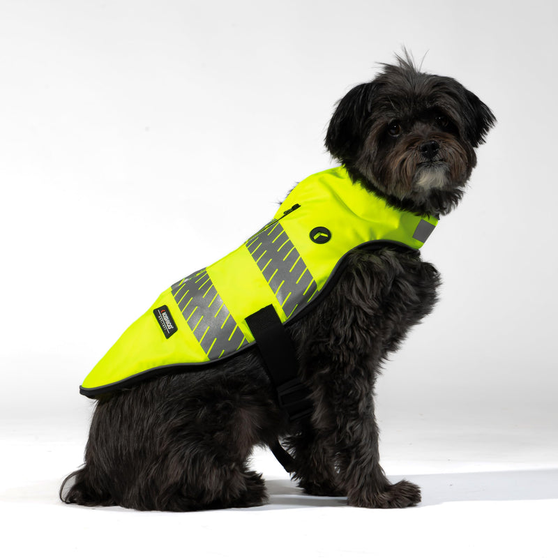 Reflective Dog Safety Vest, Harness and Collar Compatible, Waste Bag Holder, Water Resistant, Adjustable Neck and Chest, Day or Night Walking, High-Visibility Protection (Lime, S) Small - PawsPlanet Australia