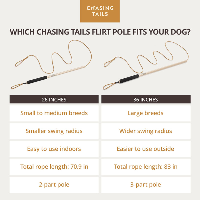 Flirt Pole for Small or Medium Dogs - 26 Inch with 70 Inch Rope and Two Toys for All Breeds - Spring Pole for Dogs, Dog Flirt Pole for Large Dogs, Dog Catcher Pole Pole - 26 Inch - PawsPlanet Australia