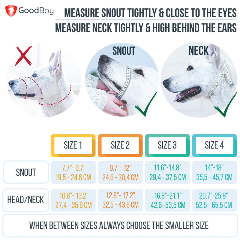 GoodBoy Dog Head Halter with Safety Strap - Stops Heavy Pulling On The Leash - Padded Headcollar for Small Medium and Large Dog Sizes - Head Collar Training Guide Included (Size 3, Blue) Size 3 (Pack of 1) Black Nylon / Blue Padding