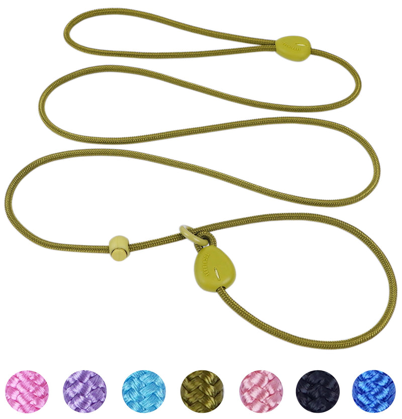 Green 6FT Heavy Duty Dog Training Leash - Comfortable Rope, No Pull, Suitable for Small to Medium Dogs Green - PawsPlanet Australia