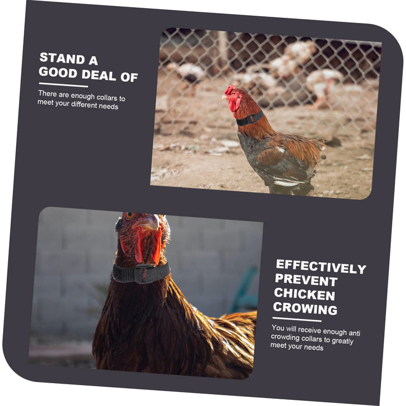4pcs Neck Pet Collar Nylon Chicken Collar Rooster Neck Collar No Crow Rooster Band -Noise Collars Nylon Roosters Collars Noise Rooster Collar Poultry 2 Pack - PawsPlanet Australia