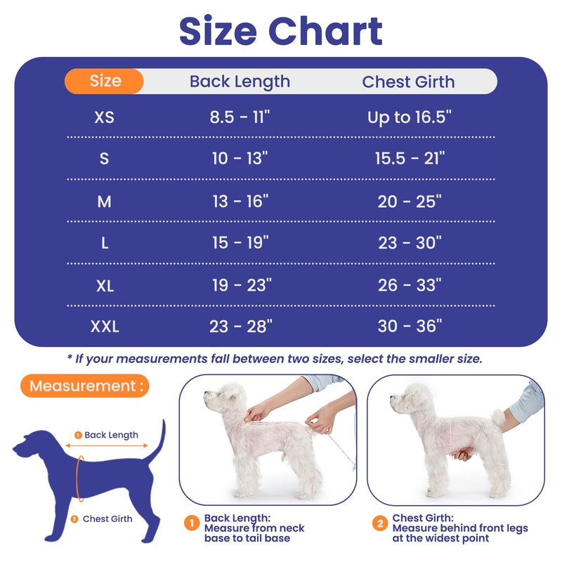 Dog Surgery Recovery Suit, Spay/Neuter Surgical Onesies with Inner Blue Monitoring Layer for Male Female Dogs, Hold-Up Potty System, E-Collar Alternative (Grey, Medium) Grey