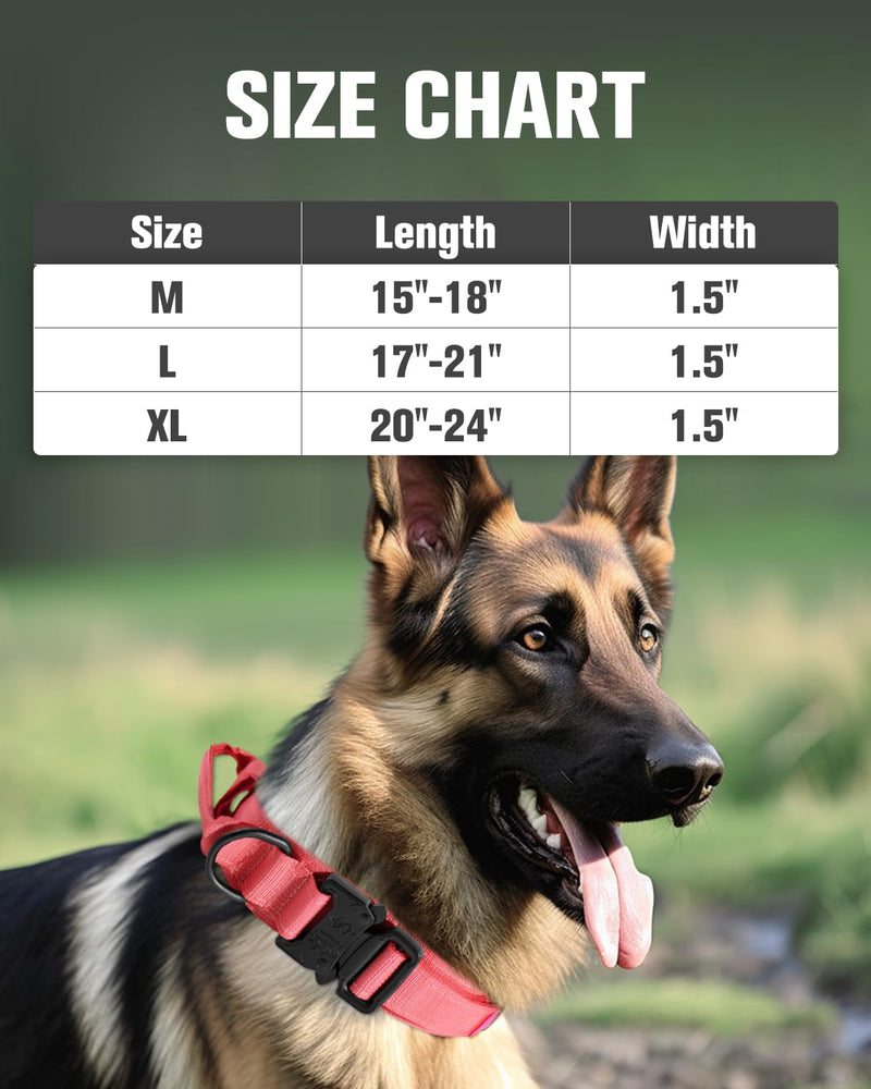 Joytale Tactical Dog Collar(17"-21") and Dog Leash Set, Shock Absorbing Bungee Dog Leash and Adjustable Strong Dog Collar with Handle for Large Dogs(Hotpink, L) - PawsPlanet Australia