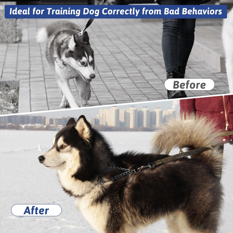 Pinch Collar for Dogs, Prong Training Collar with Quick Release Buckle for Dog Pulling Behavior Correction, Adjustable Pinch Leashes (XL / 23-26" Neck Size) XL / 23-26" Neck Size
