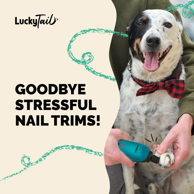 LuckyTail Pet Nail Grinder for Dogs and Cats - Super Quiet and Low Vibration Electric Dog Nail Grinder with 2 LED Lights - USB Rechargeable and Cordless - 2 Speeds - Small to Large Pets - Teal - PawsPlanet Australia