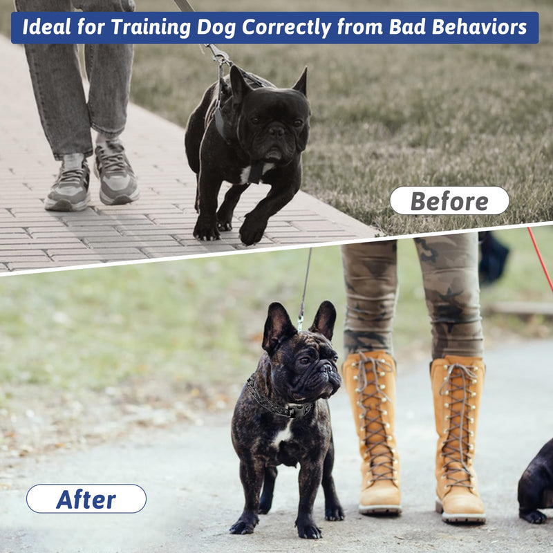 Pinch Collar for Dogs, Prong Training Collar with Quick Release Buckle for Dog Pulling Behavior Correction, Adjustable Pinch Leashes (Small / 12.5-18" Neck Size) Small / 12.5-18" Neck Size