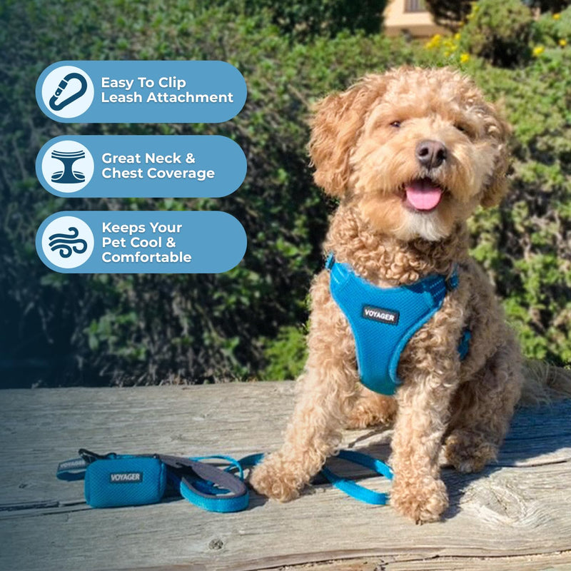 Best Pet Supplies Voyager Adjustable Dog Vest Harness Breathable No Pull Harness for Small, Medium, Large Dogs, Harness for Walking, Jogging, Easy Step-in, Reflective Stripes - Turquoise, S Harness (Turquoise) S (Chest: 15 - 18") - PawsPlanet Australia