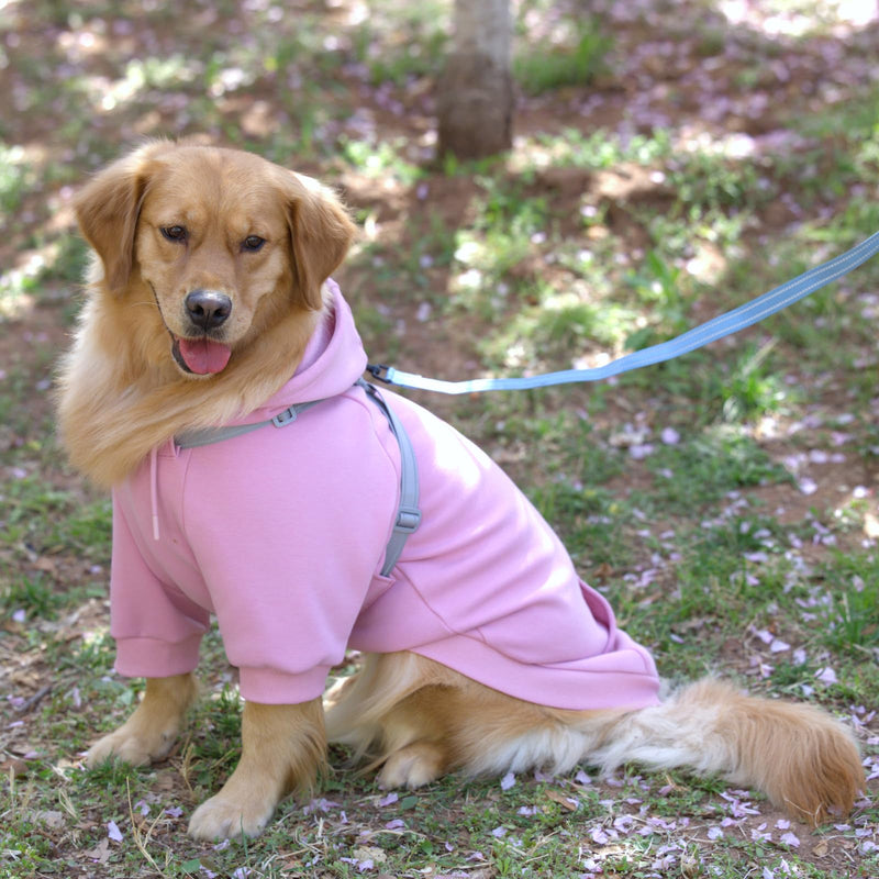 Dog Hoodies with Hurns Built in, Dog Sweatshirt for Small, Medium, and Large Dogs, Warm Sweaters for French Bulldogs, Pitbull, Puppy, Winter Jacket Alternative - Pink - 2XL - PawsPlanet Australia