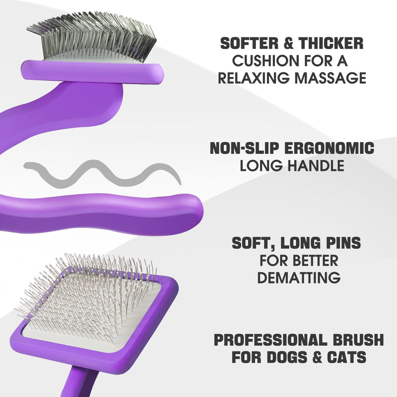 Dog Slicker Brush for Dogs Grooming Kit 4PCS | Large Dog Brush for Goldendoodles Poodles Doodles | Long Pin Haired Brush | Poodle Brushes and Comb (Purple) Purple - PawsPlanet Australia