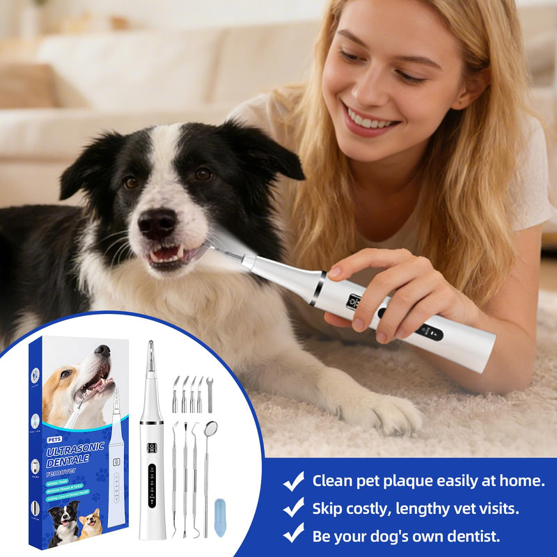Ultrasonic Pet Plaque and Tartar Remover - Teeth Cleaning Kit with LED Light, 5 Modes, 7 Brush Heads, IPX7 Waterproof for Dogs and Cats