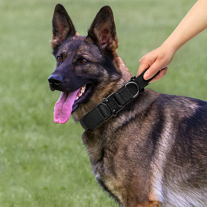 Tactical Dog Collar and Leash Set Heavy Duty Military Dog Collar with Handle and Metal Buckle for Medium and Large Dogs (Black, M) Black - PawsPlanet Australia